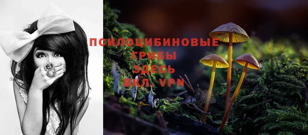 mix Алексеевка