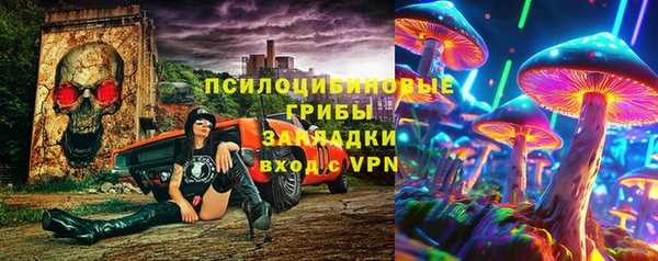спиды Алексин