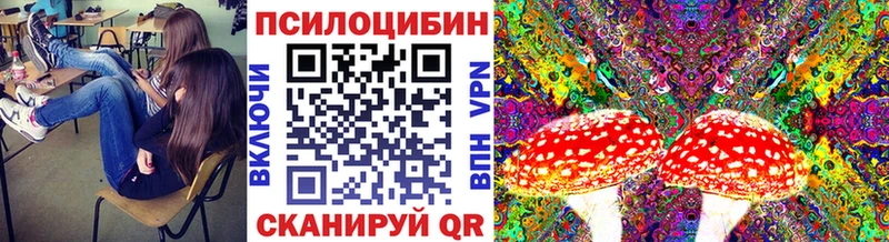 Псилоцибиновые грибы Psilocybe  Суровикино 